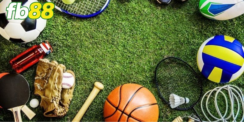 Nhiều bộ môn thể thao cá cược hấp dẫn